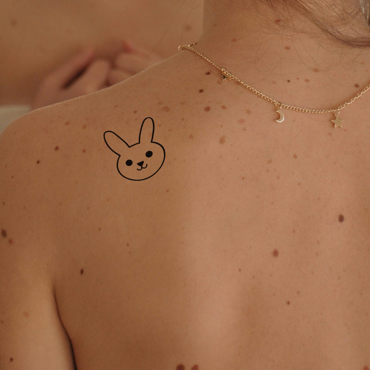 Tete de Lapin