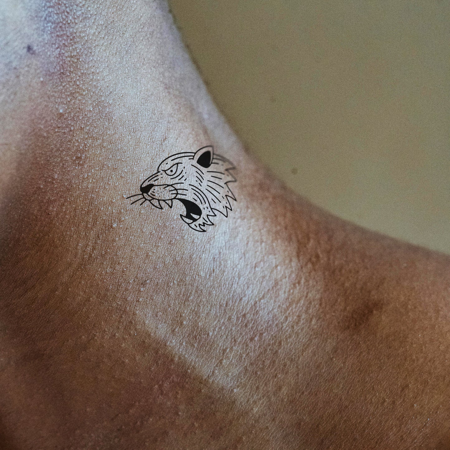 Tigre rugissant