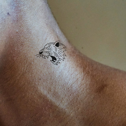 Tigre rugissant